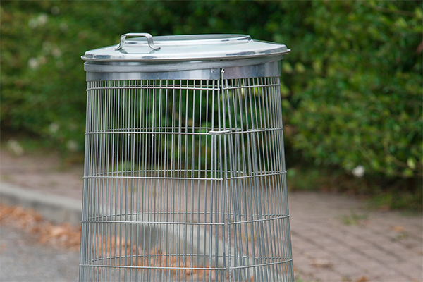 Articoli Complementari Articoli Complementari